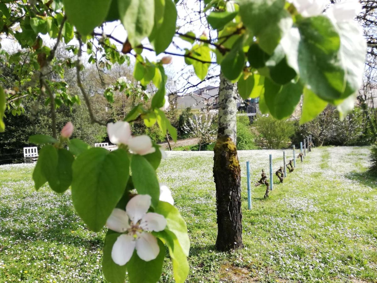 La Verrerie Gaillac Eksteriør billede